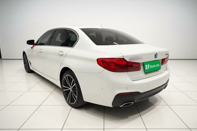 Used BMW 5 Series 2020 530Li Luxury Edition M Sport Package Exterior 3