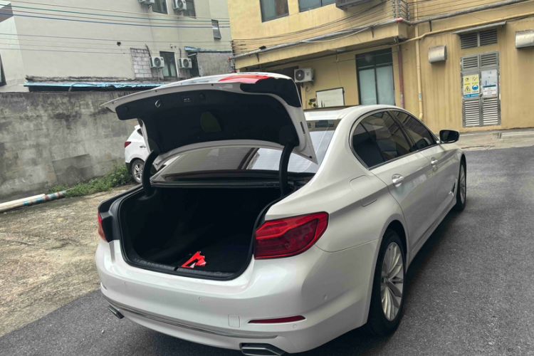 Used BMW 5 Series 2020 530Li Leading Edition Luxury Package Exterior 4