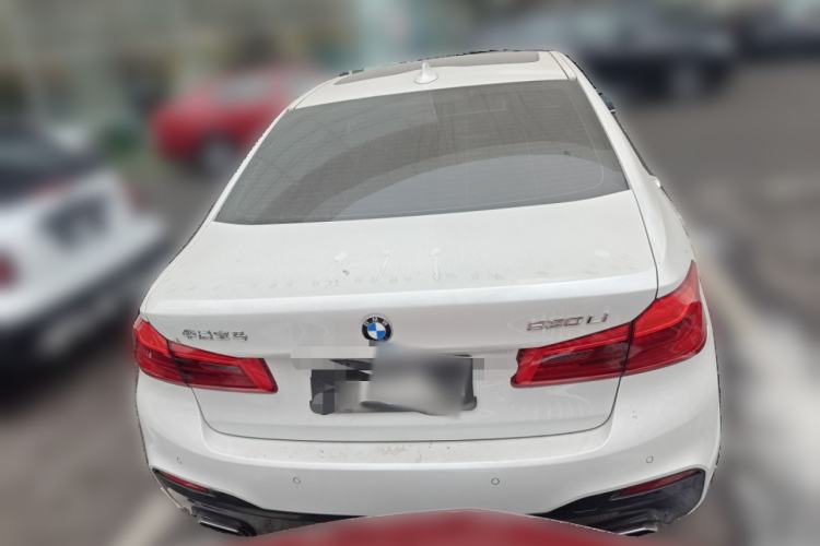 Used BMW 5 Series 2020 530Li Luxury Edition M Sport Package Exterior 4