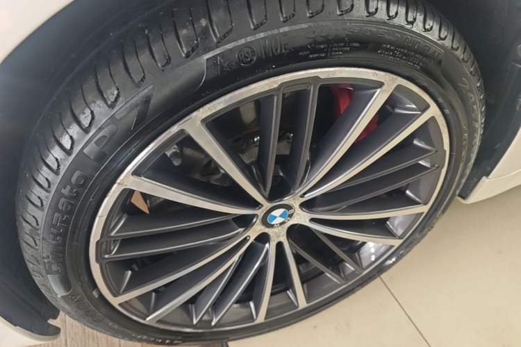 Used BMW 5 Series 2020 530Li Luxury Edition M Sport Package Exterior 4