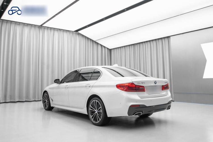 Used BMW 5 Series 2020 530Li Leading Model M Sport Package Exterior 4