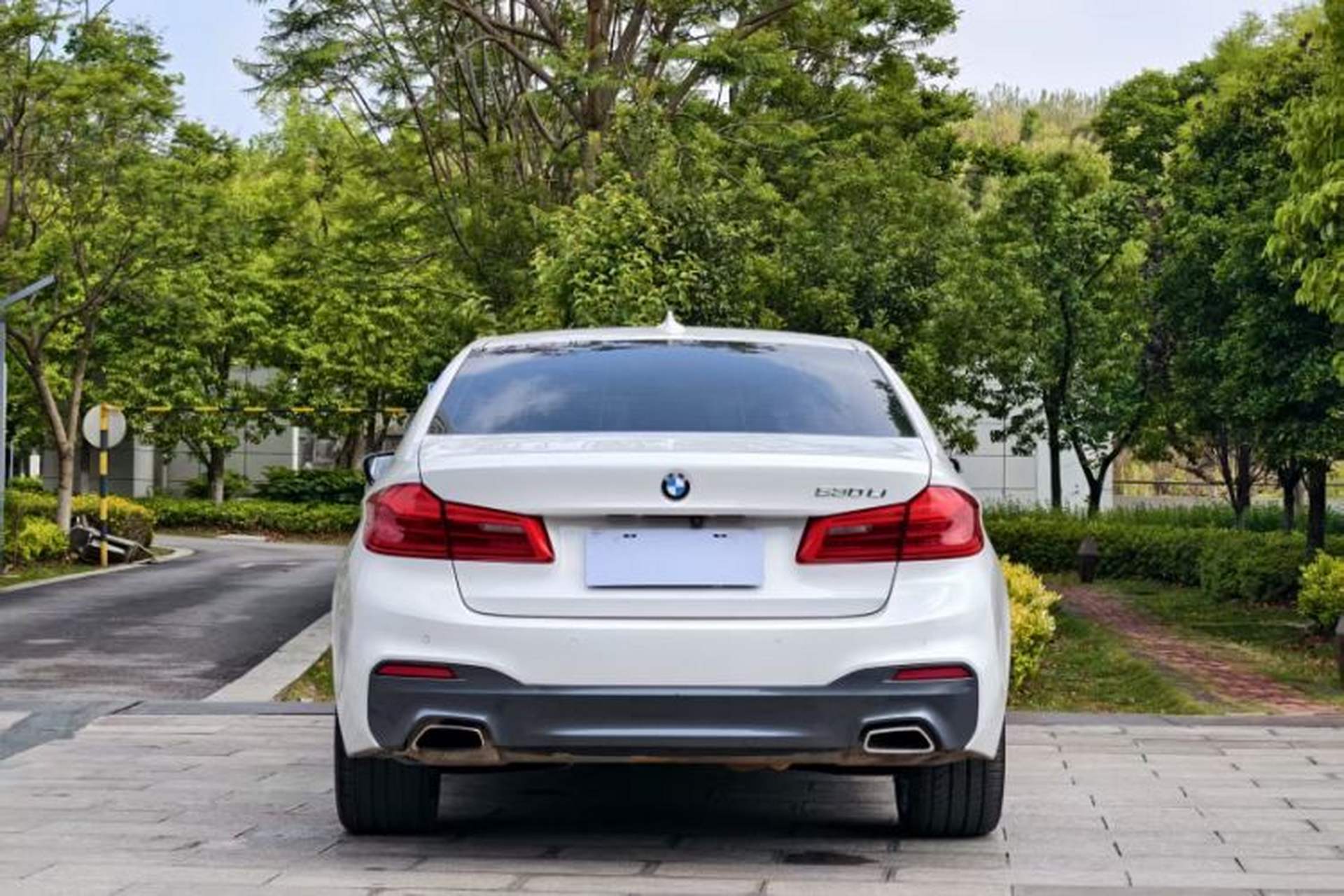 Used BMW 5 Series 2020 530Li Leading Model M Sport Package Exterior 4