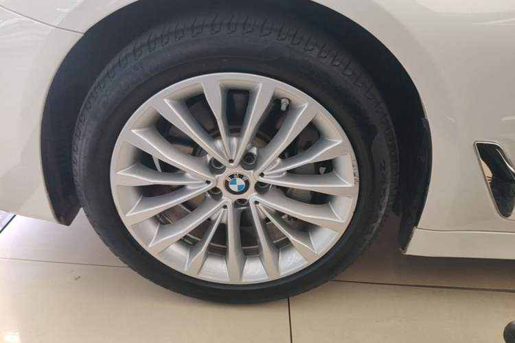 Used BMW 5 Series 2020 530Li Leading Edition Luxury Package Exterior 4