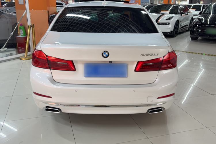 Used BMW 5 Series 2020 530Li Leading Edition Luxury Package Exterior 4