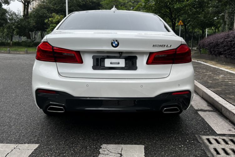Used BMW 5 Series 2020 530Li Leading Model M Sport Package Exterior 4