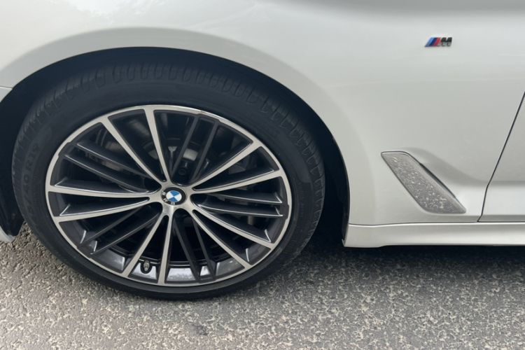 Used BMW 5 Series 2020 530Li Leading Model M Sport Package Exterior 4