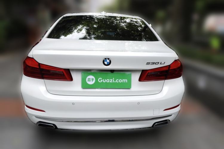 Used BMW 5 Series 2020 530Li Luxury Edition Premium Package Exterior 4