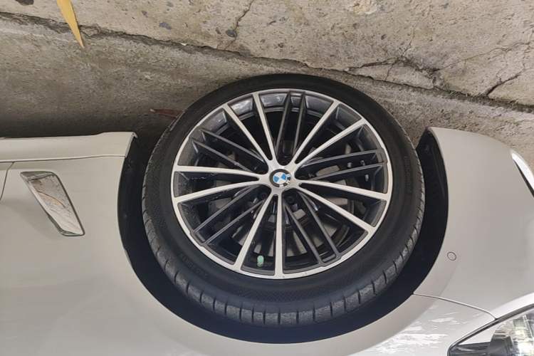 Used BMW 5 Series 2020 530Li Luxury Edition M Sport Package Exterior 4