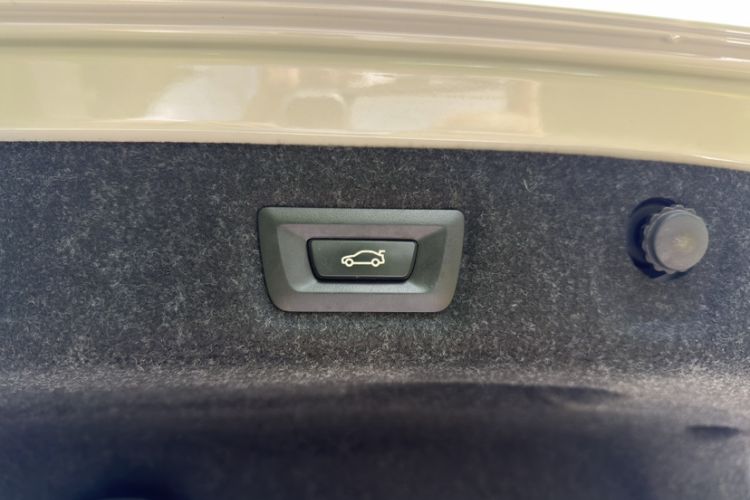 Used BMW 5 Series 2020 530Li xDrive Luxury Package Exterior 4