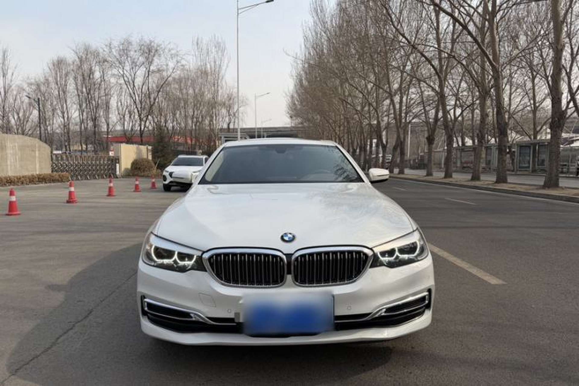 Used BMW 5 Series 2020 525Li Luxury Package Exterior 4