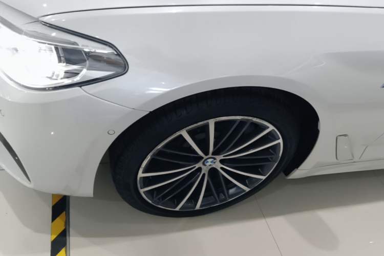 Used BMW 5 Series 2020 530Li Leading Model M Sport Package Exterior 4