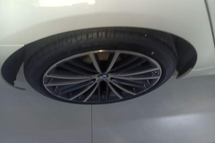 Used BMW 5 Series 2020 530Li Luxury Edition M Sport Package Exterior 5