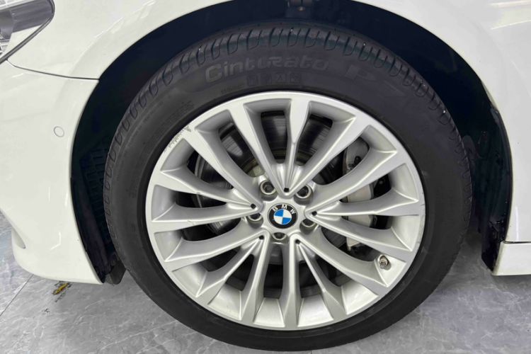 Used BMW 5 Series 2020 530Li Leading Edition Luxury Package Exterior 5