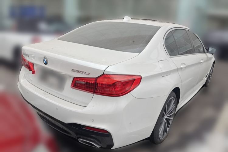 Used BMW 5 Series 2020 530Li Luxury Edition M Sport Package Exterior 5