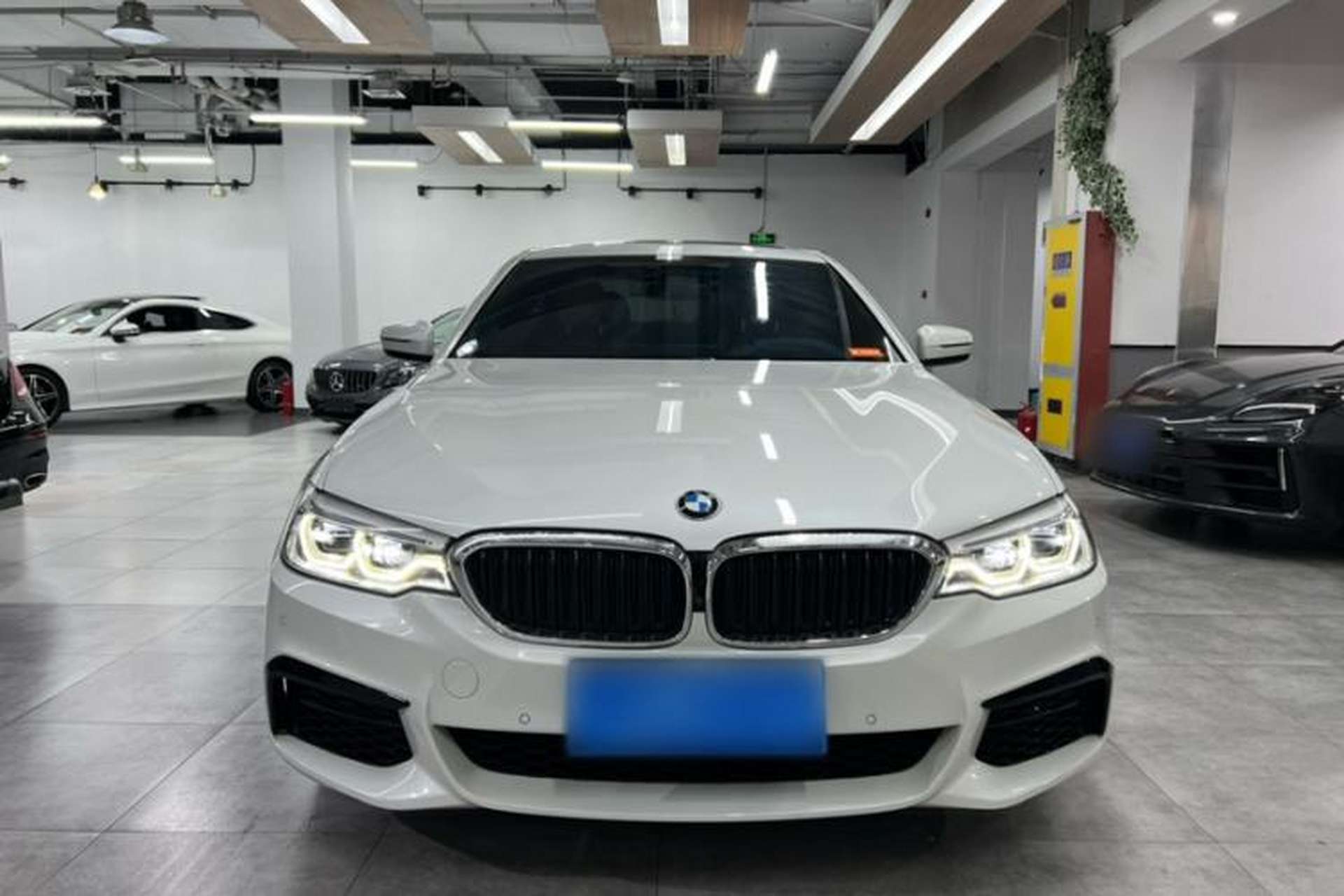 Used BMW 5 Series 2020 530Li Luxury Edition M Sport Package Exterior 5