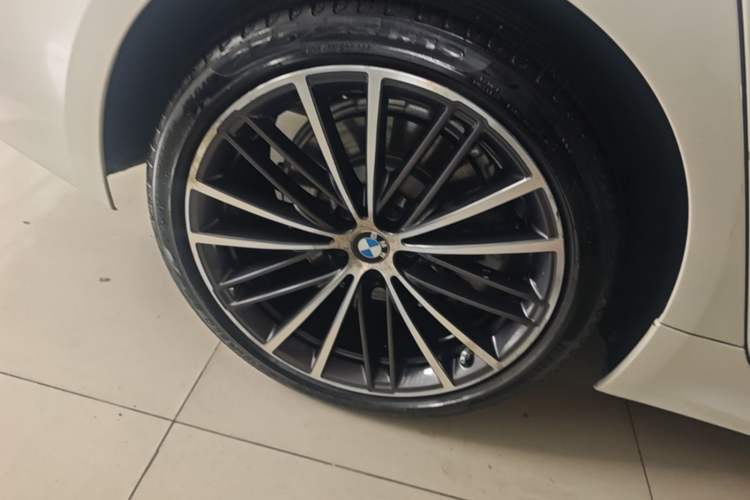 Used BMW 5 Series 2020 530Li Luxury Edition M Sport Package Exterior 5