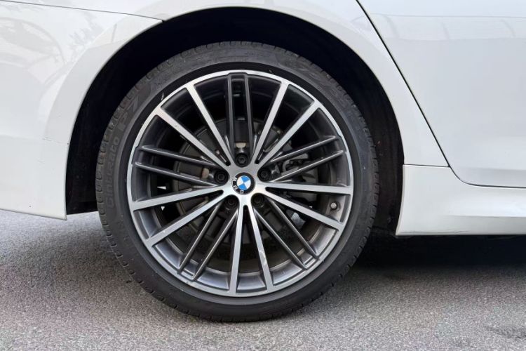 Used BMW 5 Series 2020 530Li Luxury Edition M Sport Package Exterior 5