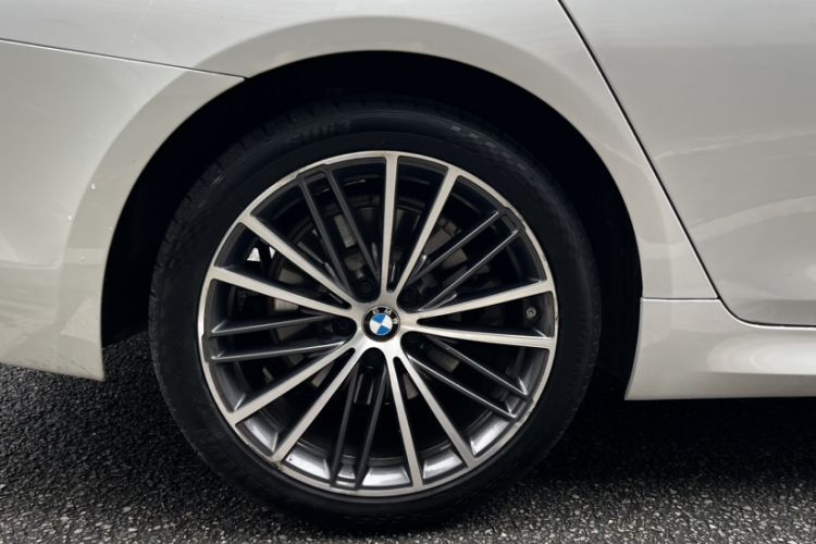 Used BMW 5 Series 2020 530Li Leading Model M Sport Package Exterior 5