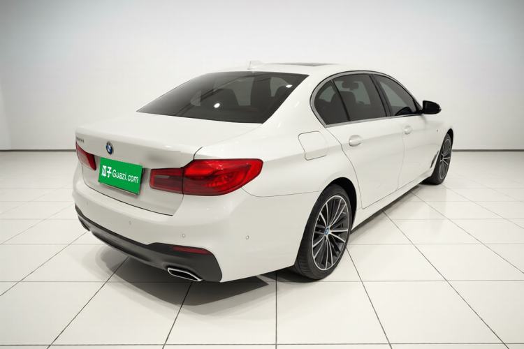 Used BMW 5 Series 2020 530Li Luxury Edition M Sport Package Exterior 5