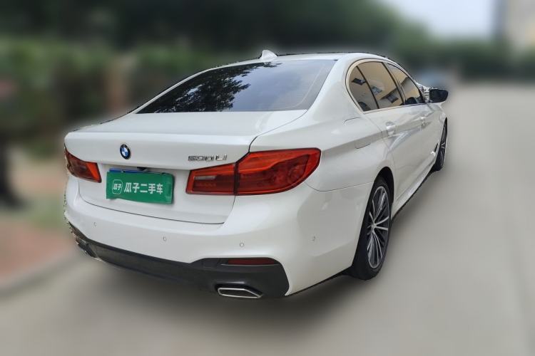 Used BMW 5 Series 2020 530Li Luxury Edition M Sport Package Exterior 5