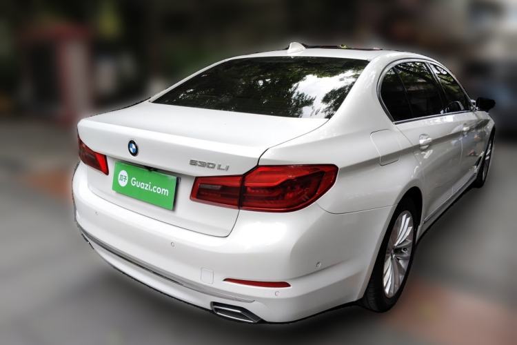 Used BMW 5 Series 2020 530Li Luxury Edition Premium Package Exterior 5