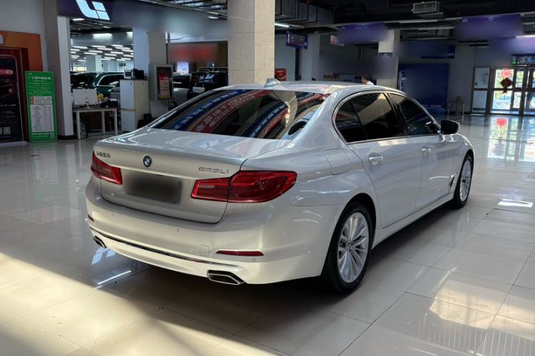 Used BMW 5 Series 2020 525Li Luxury Package Exterior 5