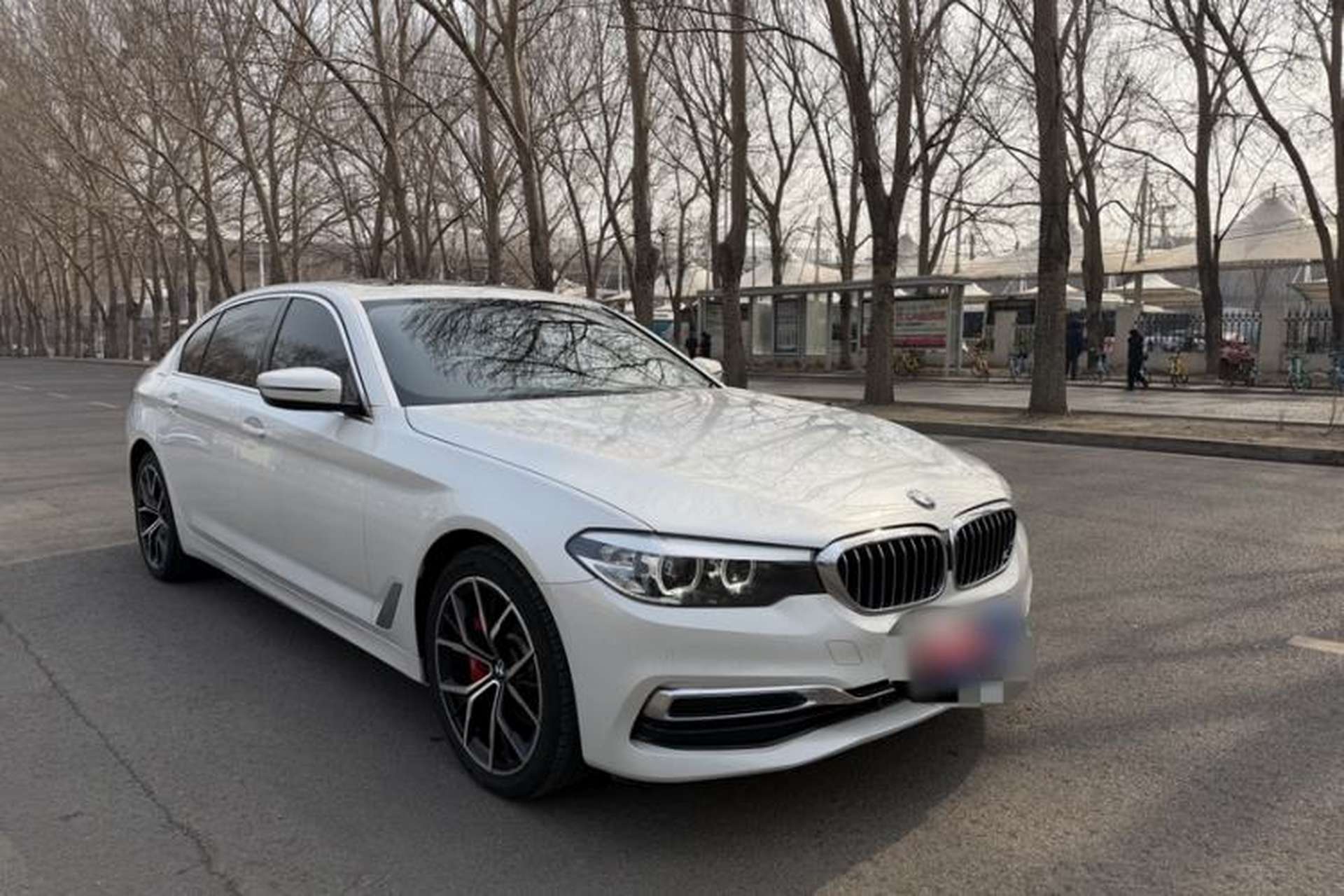 Used BMW 5 Series 2020 525Li Luxury Package Exterior 5