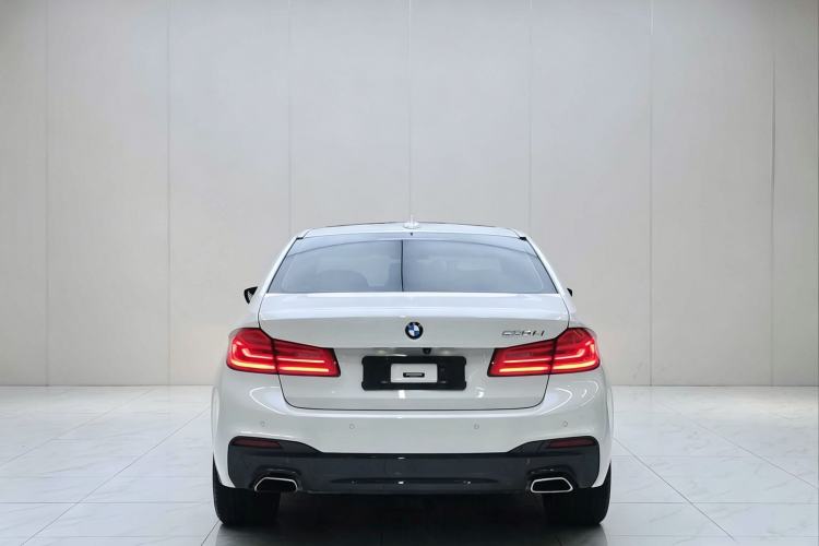 Used BMW 5 Series 2020 530Li Leading Model M Sport Package Exterior 5