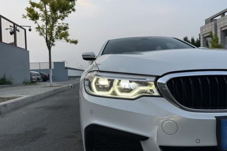 Used BMW 5 Series 2020 530Li Luxury Edition M Sport Package Exterior 6