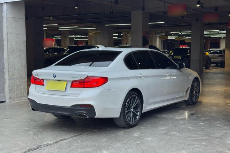 Used BMW 5 Series 2020 530Li Luxury Edition M Sport Package Exterior 6