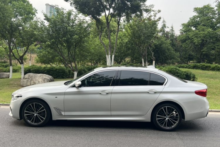 Used BMW 5 Series 2020 530Li Leading Model M Sport Package Exterior 6