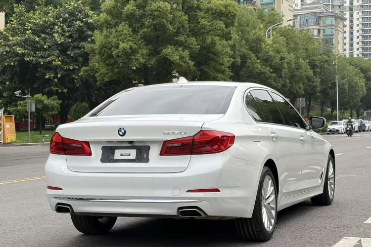 Used BMW 5 Series 2020 525Li Luxury Package Exterior 6