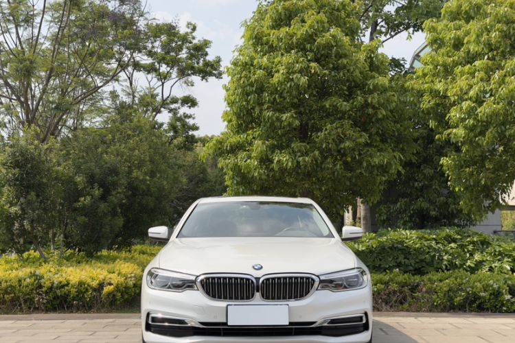 Used BMW 5 Series 2020 530Li xDrive Luxury Package Exterior 6