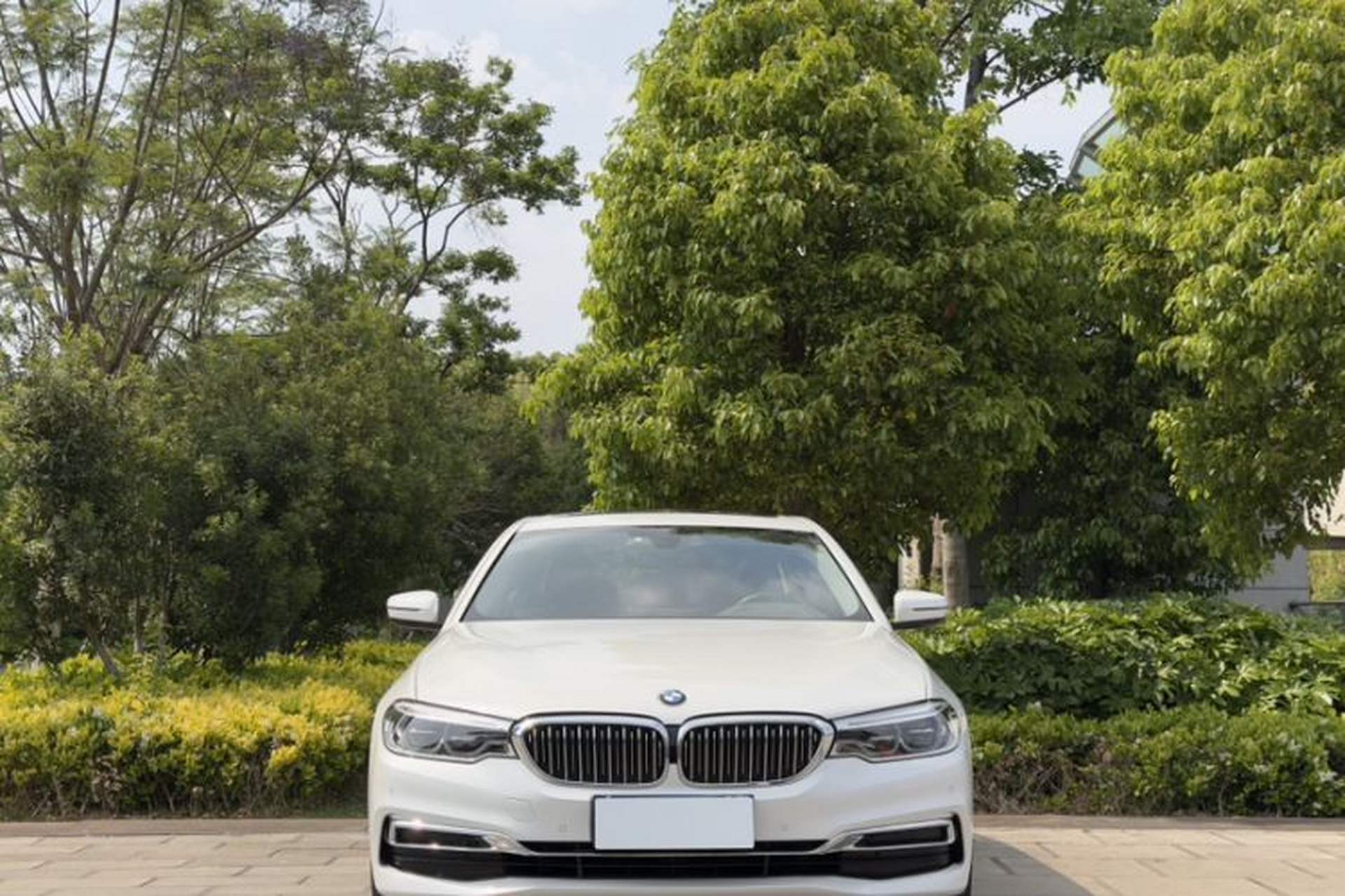 Used BMW 5 Series 2020 530Li xDrive Luxury Package Exterior 6