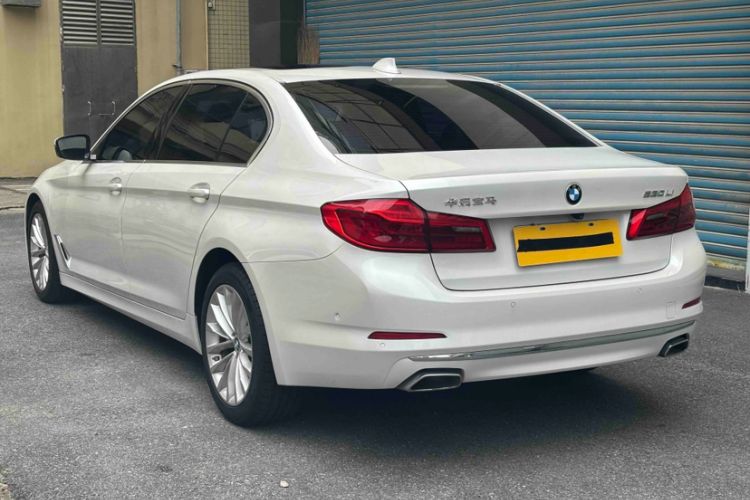 Used BMW 5 Series 2020 530Li Leading Edition Luxury Package Exterior 7