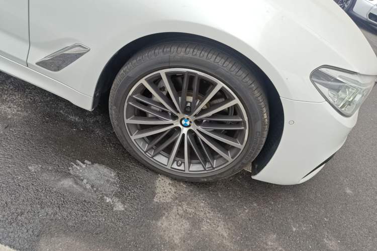 Used BMW 5 Series 2020 530Li Luxury Edition M Sport Package Exterior 7