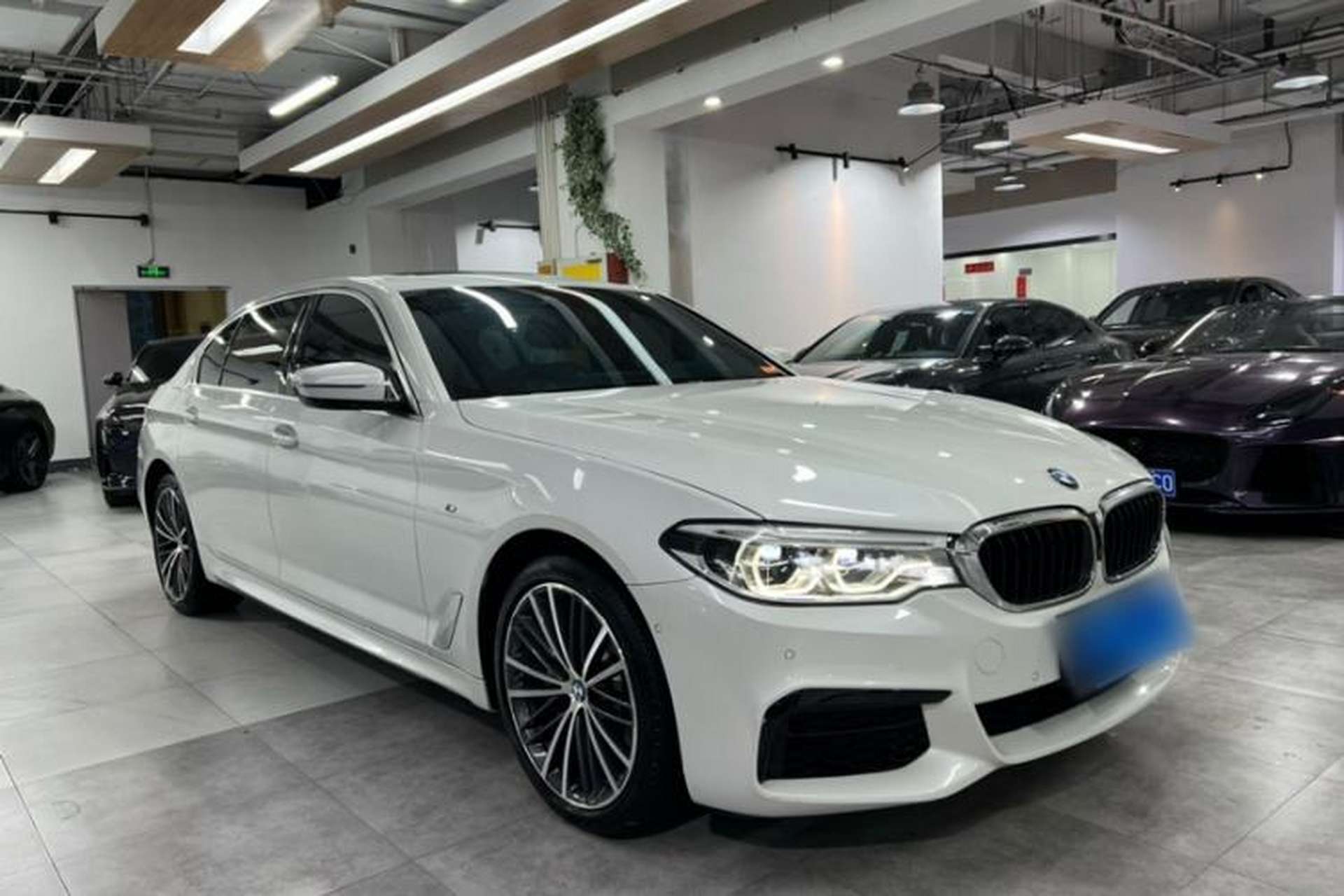 Used BMW 5 Series 2020 530Li Luxury Edition M Sport Package Exterior 7