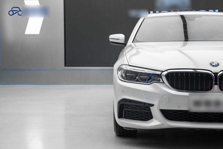 Used BMW 5 Series 2020 530Li Leading Model M Sport Package Exterior 7
