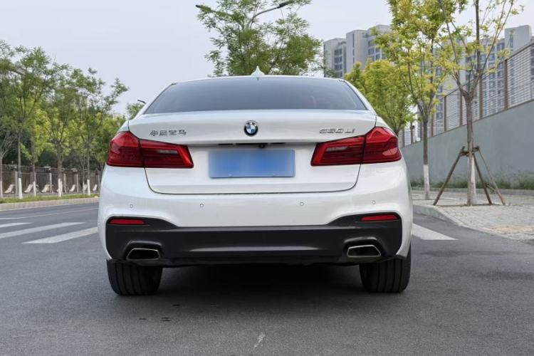 Used BMW 5 Series 2020 530Li Luxury Edition M Sport Package Exterior 7