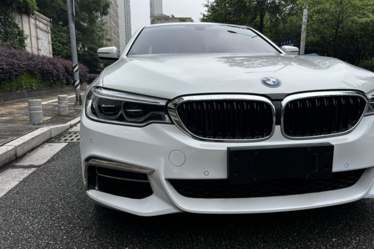 Used BMW 5 Series 2020 530Li Leading Model M Sport Package Exterior 7