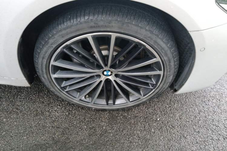 Used BMW 5 Series 2020 530Li Luxury Edition M Sport Package Exterior 7