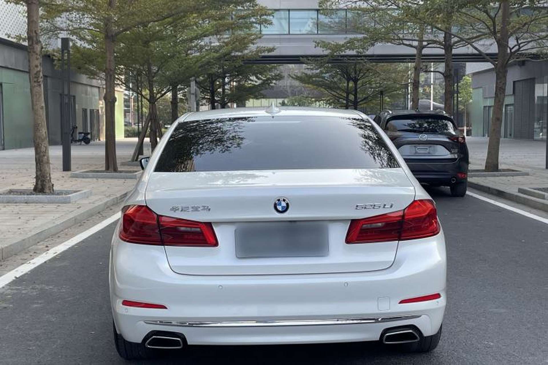 Used BMW 5 Series 2020 525Li Luxury Package Exterior 7