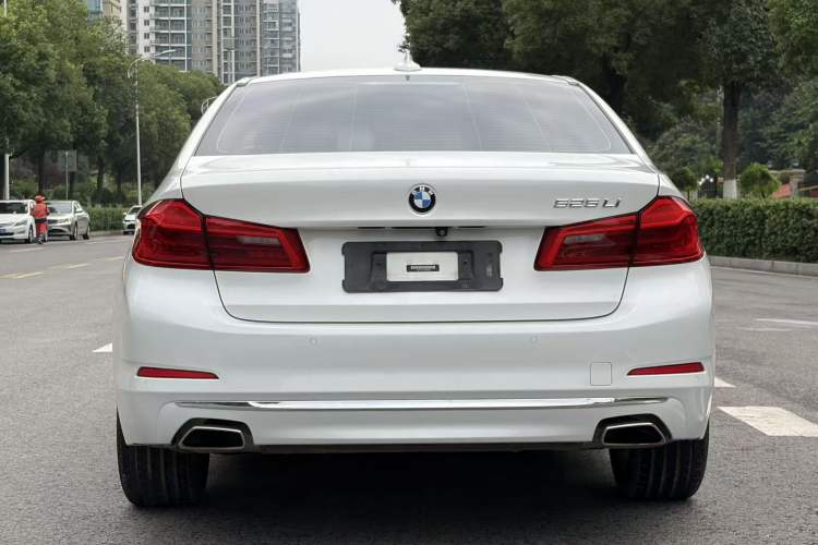 Used BMW 5 Series 2020 525Li Luxury Package Exterior 7