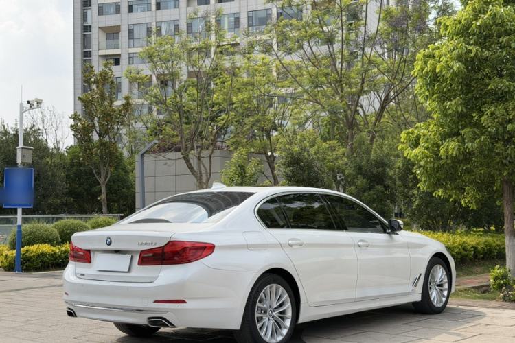 Used BMW 5 Series 2020 530Li xDrive Luxury Package Exterior 7