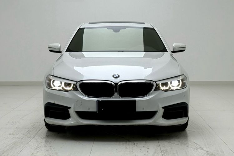 Used BMW 5 Series 2020 525Li M Sport Package Exterior 8