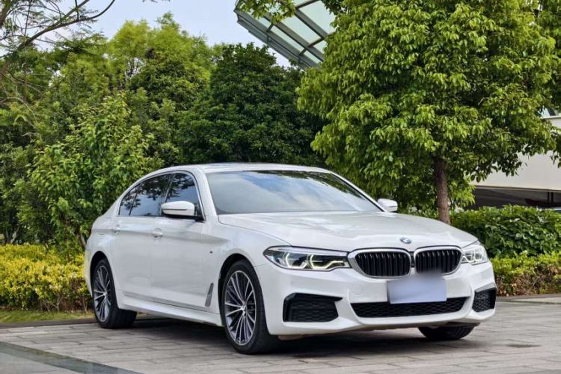 Used BMW 5 Series 2020 530Li Leading Model M Sport Package Exterior 8
