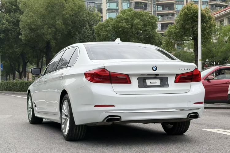Used BMW 5 Series 2020 525Li Luxury Package Exterior 8