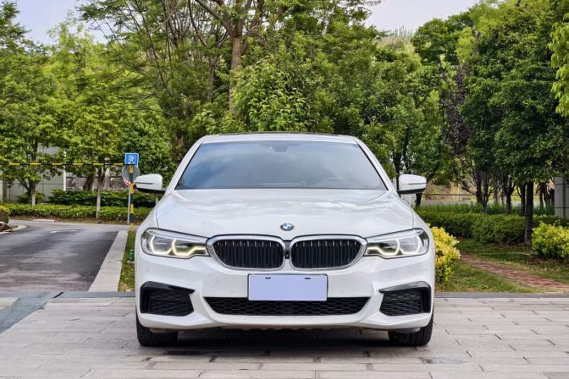 Used BMW 5 Series 2020 530Li Leading Model M Sport Package Exterior 9