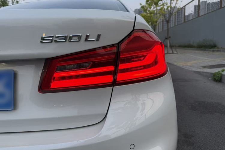 Used BMW 5 Series 2020 530Li Luxury Edition M Sport Package Exterior 9