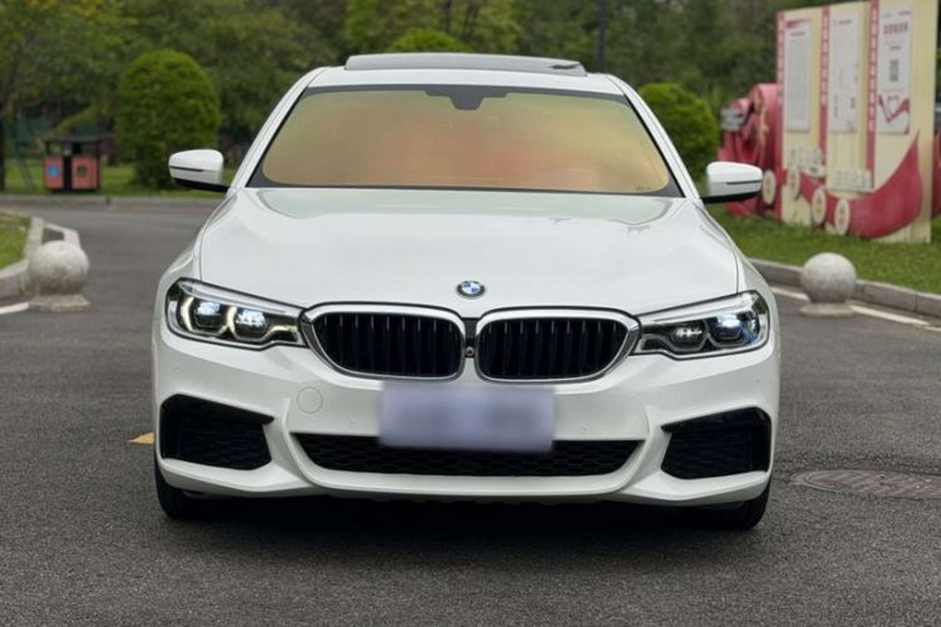 Used BMW 5 Series 2020 530Li Leading Model M Sport Package Exterior 9
